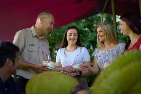 Daintree And Cape Tribulation Tour From Cairns - Great Ocean Road Restaurant 5