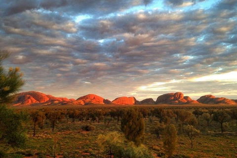 5-Hour Kata Tjuta Sunrise Tour From Ayers Rock With Breakfast - Great Ocean Road Restaurant 1