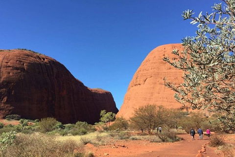 5-Hour Kata Tjuta Sunrise Tour From Ayers Rock With Breakfast - Great Ocean Road Restaurant 4