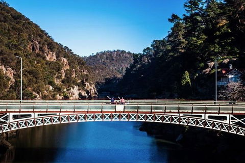 3.5 Hours Walking Tour To Cataract Gorge With Local Guide - Great Ocean Road Restaurant 4