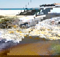 Full-Day Moreton Island 4x4 Sightseeing Tour - Great Ocean Road Restaurant