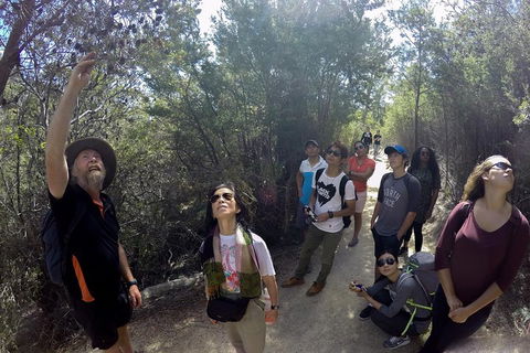 Active Day Tour One-Way From Launceston To Hobart Via Wineglass Bay - Great Ocean Road Restaurant 0