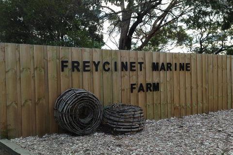 Active Day Tour One-Way From Launceston To Hobart Via Wineglass Bay - Great Ocean Road Restaurant 3