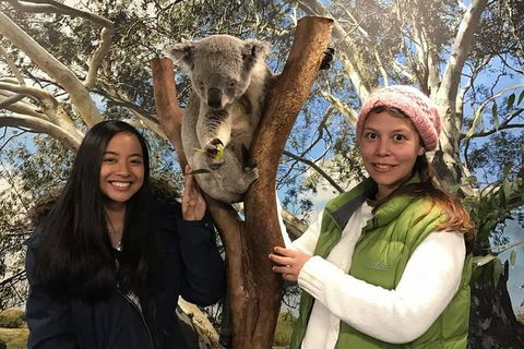 The Ultimate Sydney Attractions Pass - Great Ocean Road Restaurant 1