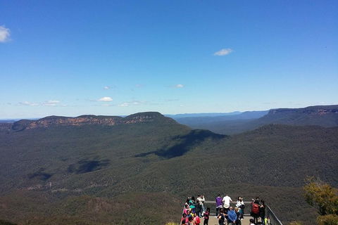 The Ultimate Sydney Attractions Pass - Great Ocean Road Restaurant 3