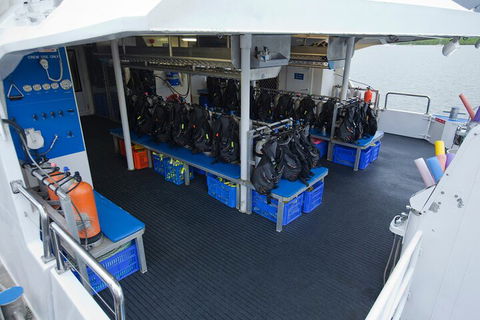 Silverswift Outer Great Barrier Reef Dive And Snorkel Cruise From Cairns - Great Ocean Road Restaurant 0