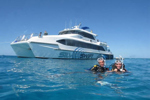 Silverswift Outer Great Barrier Reef Dive And Snorkel Cruise From Cairns - Great Ocean Road Restaurant 4