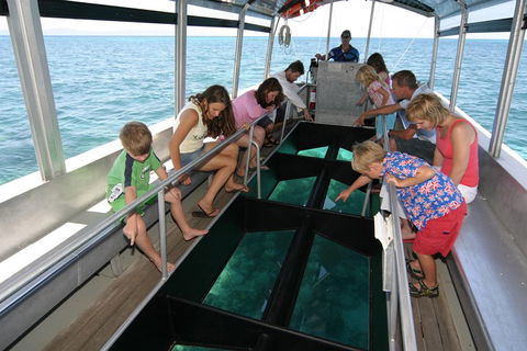 Green Island Discovery Including Glass Bottom Boat Tour Departing Cairns - Great Ocean Road Restaurant 5
