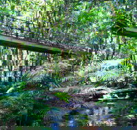 Double Pack-Ancient Rainforest and Waterfalls - Great Ocean Road Restaurant