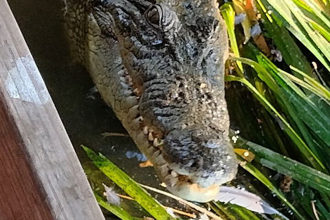 Litchfield Park Adventures And Jumping Crocodile Cruise + Butterfly Farm - Great Ocean Road Restaurant 1