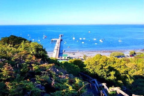 Mornington Peninsula Sightseeing Tour For 2-6 Guests. - Great Ocean Road Restaurant 1