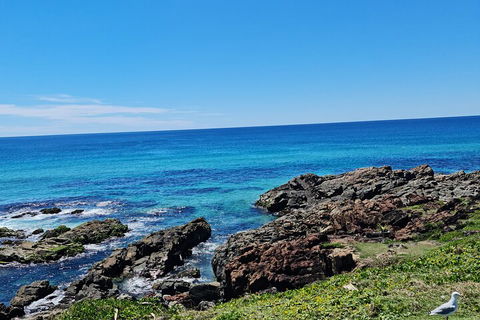 Private Custom Byron Bay Day Out - Great Ocean Road Restaurant 4