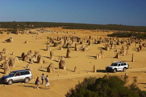 1-Day Pinnacles And Yanchep Tour From Perth Including Fish And Chips Lunch - Great Ocean Road Restaurant 0