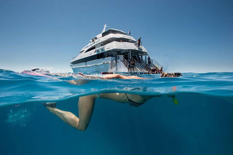 3 Day Great Barrier Reef, Daintree Rainforest And Outback Chillagoe Tour - Great Ocean Road Restaurant 0