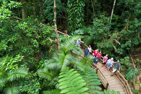 3 Day Great Barrier Reef, Daintree Rainforest And Outback Chillagoe Tour - Great Ocean Road Restaurant 2