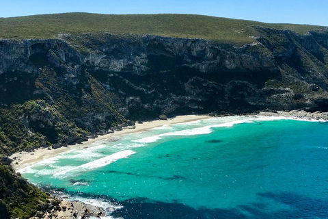 Kangaroo Island Scenic Trail Tour - Great Ocean Road Restaurant 4