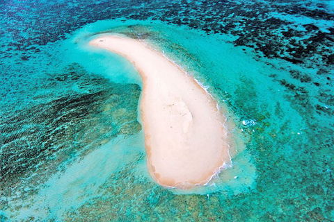 Private Coral Cay Bubbles Tour - Great Ocean Road Restaurant 3