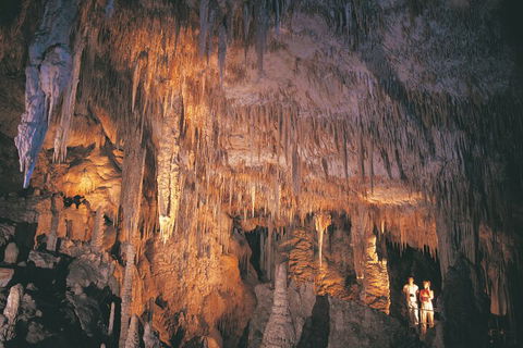 4 Day Tour: Albany, Margaret River, Valley Of The Giants TreeTop Walk From Perth - Great Ocean Road Restaurant 1