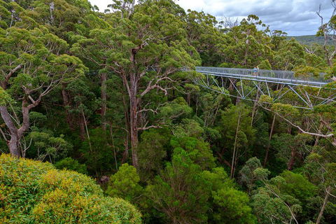4 Day Tour: Albany, Margaret River, Valley Of The Giants TreeTop Walk From Perth - Great Ocean Road Restaurant 4