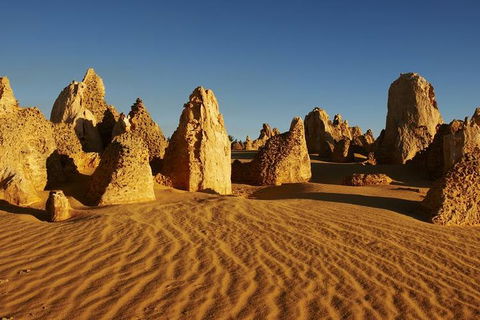 Full Day Pinnacle Desert Explorer From Perth Including Hillarys And Lancelin Sandboarding - Great Ocean Road Restaurant 3