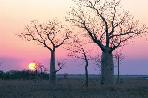 8-Day Outback Experience From Queensland - Great Ocean Road Restaurant 5