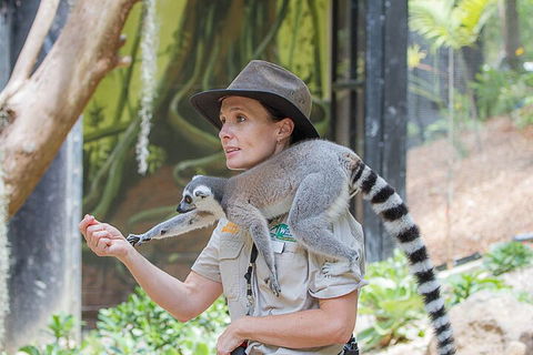 Currumbin Wildlife Sanctuary General Entry Ticket - Great Ocean Road Restaurant 1