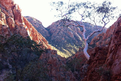 West MacDonnell Private Tour With Transfer - Great Ocean Road Restaurant 3