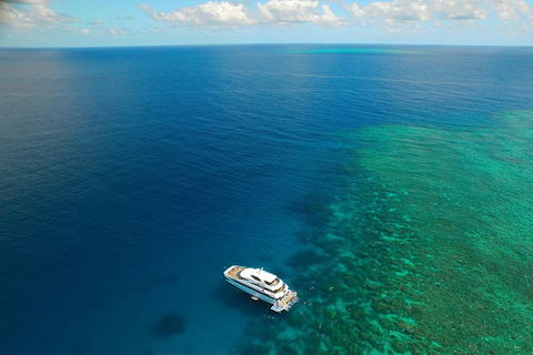 Great Barrier Reef Snorkeling And Diving Cruise From Cairns - Great Ocean Road Restaurant 4