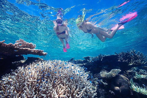 Great Barrier Reef Scenic Helicopter Tour And Cruise From Cairns - Great Ocean Road Restaurant 3