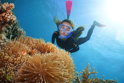 Helicopter And Cruise Packages From Port Douglas - Great Ocean Road Restaurant 3