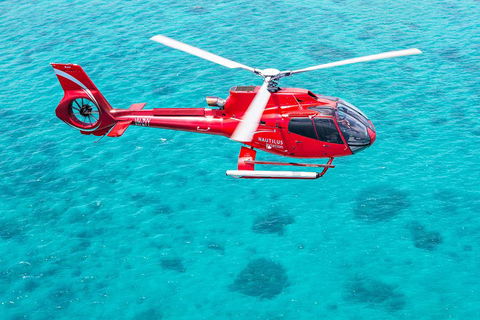 Helicopter And Cruise Packages From Port Douglas - Great Ocean Road Restaurant 5