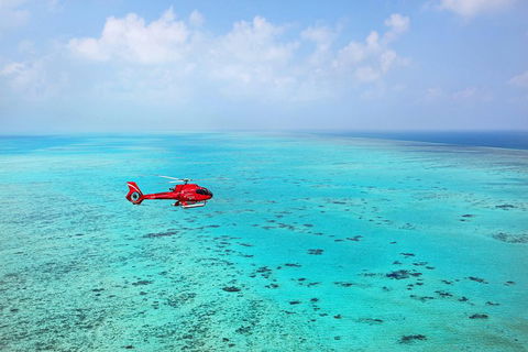 Port Douglas - Cruise And 10 Minute Scenic Flight - Great Ocean Road Restaurant 1