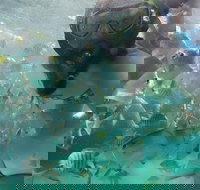 2-Day Moreton Island 4WD Camping Tour from Brisbane - Great Ocean Road Restaurant