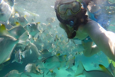 Moreton Island Snorkel And Sandboarding 4WD Day Trip From Brisbane - Great Ocean Road Restaurant 3