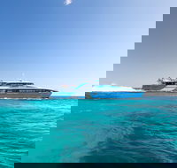 Rottnest Island All-Inclusive Grand Island Tour from Fremantle - Great Ocean Road Restaurant
