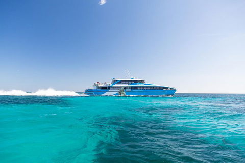 Rottnest Island Bike, Snorkel & Ferry Package From Fremantle - Great Ocean Road Restaurant 0