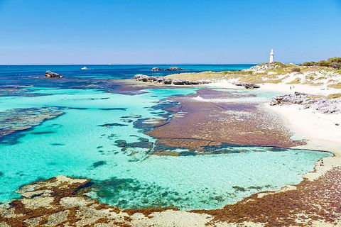 Rottnest Island Bike, Snorkel & Ferry Package From Fremantle - Great Ocean Road Restaurant 4