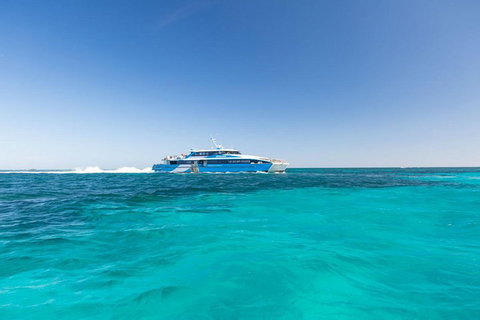 Rottnest Island Bike, Snorkel & Ferry Package From Perth - Great Ocean Road Restaurant 1