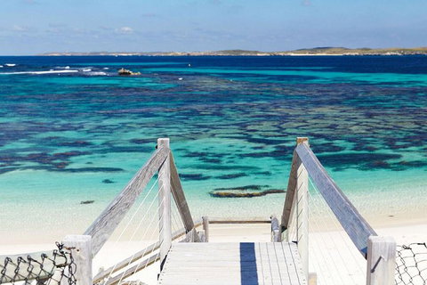 Rottnest Island Bike, Snorkel & Ferry Package From Perth - Great Ocean Road Restaurant 4