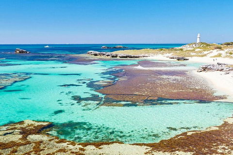 Rottnest Island Bike, Snorkel & Ferry Package From Perth - Great Ocean Road Restaurant 5