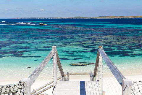 Rottnest Island Bayseeker Day Trip From Perth - Great Ocean Road Restaurant 3