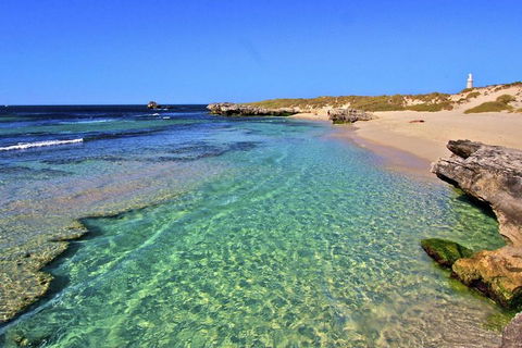 Rottnest Island Bayseeker Day Trip From Perth - Great Ocean Road Restaurant 5