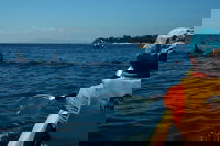 Book Viator Accommodation Vacations Great Ocean Road Restaurant Great Ocean Road Restaurant