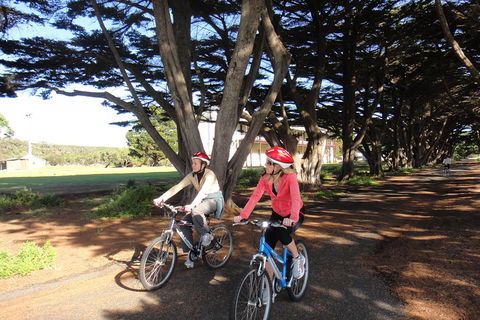 Self-Guided Point Nepean National Park Bike Hire - Great Ocean Road Restaurant 2