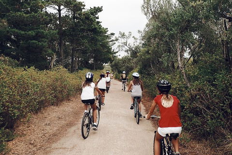 Self-Guided Point Nepean National Park Bike Hire - Great Ocean Road Restaurant 3