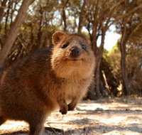 Pinnacles  Rottnest Island Scenic Air  Ground Tour - Great Ocean Road Restaurant