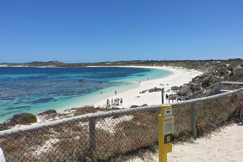 Wave Rock, Pinnacles And Rottnest One Day Aeroplane Tour - Great Ocean Road Restaurant 2