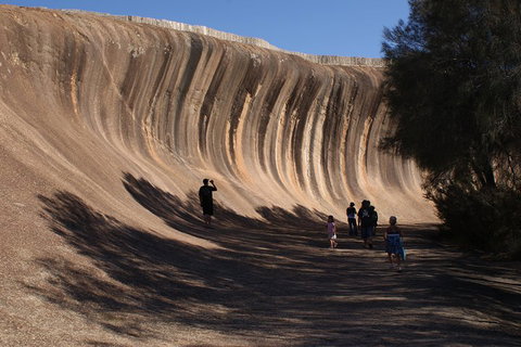 Wave Rock, Pinnacles And Rottnest One Day Aeroplane Tour - Great Ocean Road Restaurant 4