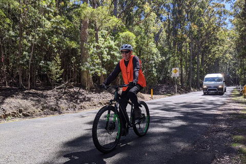Mount Wellington Descent Cycling Tour Departs Hobart - Great Ocean Road Restaurant 3
