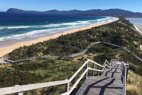 4-Day Fabulous Tasmania Tour: Wineglass Bay, Port Arthur, Devils & Bruny Island - Great Ocean Road Restaurant 5